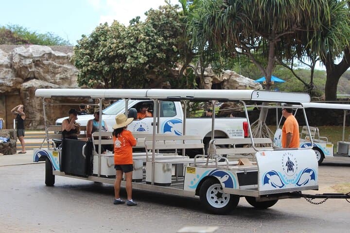 Hanauma Bay Snorkeling with Transportation: Guaranteed Entry & Waikiki Shuttle photo 4