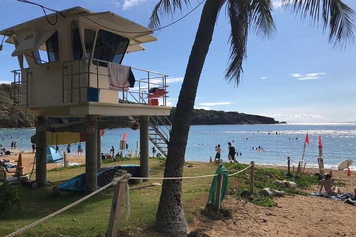 Hanauma Bay Snorkeling with Transportation: Guaranteed Entry & Waikiki Shuttle photo 3