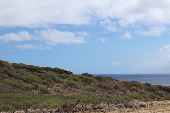 Hanauma Bay Snorkeling with Transportation: Guaranteed Entry & Waikiki Shuttle photo 5