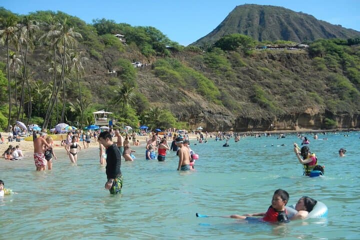 Hanauma Bay Snorkeling with Transportation: Guaranteed Entry & Waikiki Shuttle