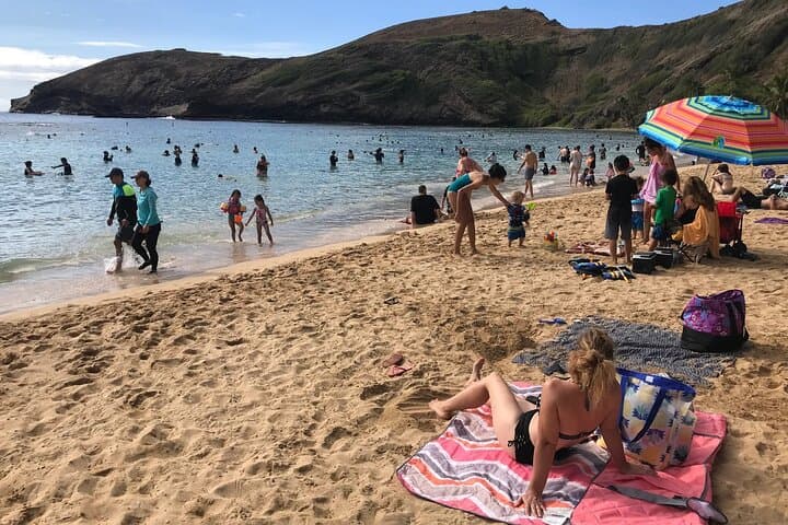 Hanauma Bay Snorkeling with Transportation: Guaranteed Entry & Waikiki Shuttle photo 6