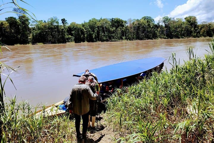 3-Day Amazon from Cusco: Cloud Forest, Parrot Collpa & Wildlife Lodges photo 5