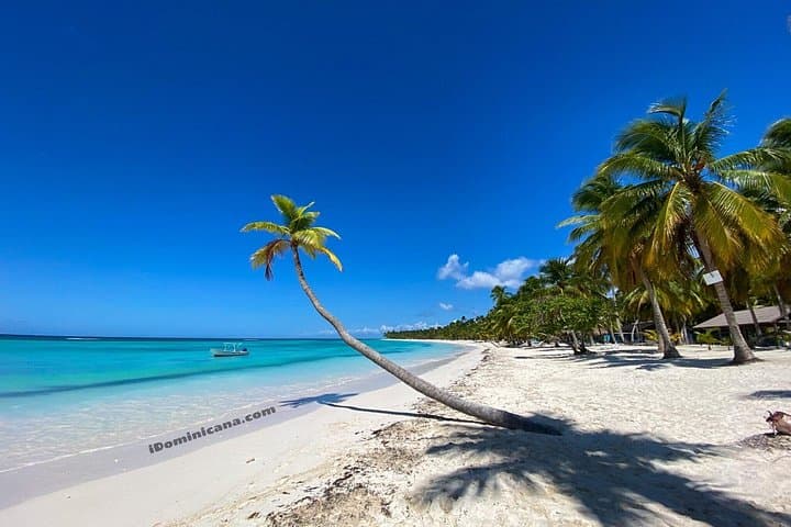 Catalina Island Snorkel Day Trip from Punta Cana with Lunch and Transport