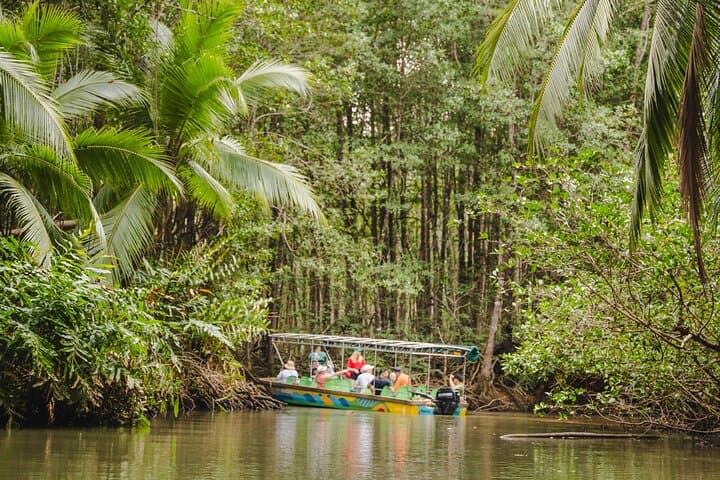 Mangrove Boat Tour to Isla Damas — Quepos Mangrove Wildlife Cruise