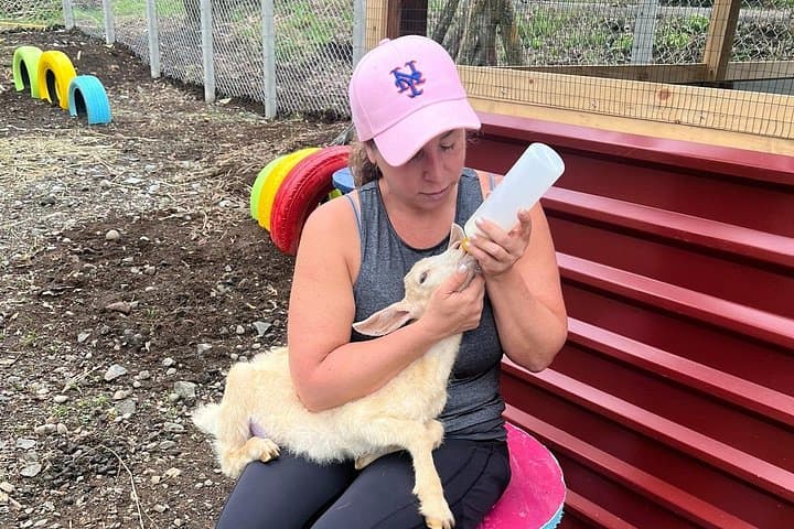 Farmer for a Day at Arenal: Hands-On Goat-Milking & Farm Experience photo 2