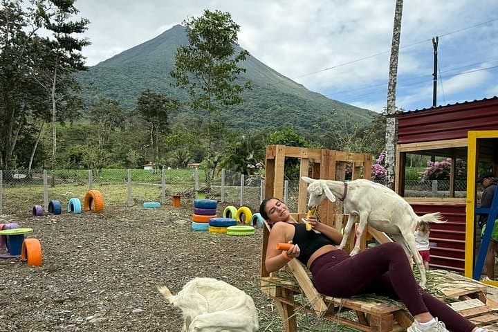 Farmer for a Day at Arenal: Hands-On Goat-Milking & Farm Experience photo 1