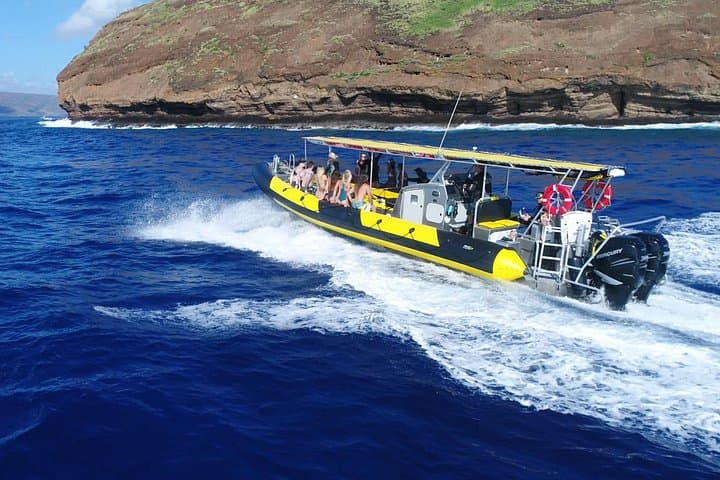 Early Morning Molokini Crater Snorkel Tour with Breakfast from Kihei photo 2