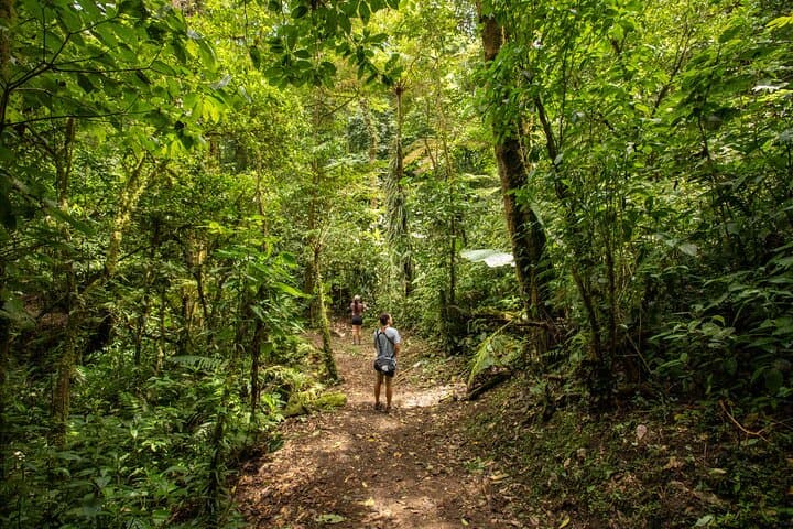 Santa Elena Cloud Forest Guided Walk | Monteverde Cloud Forest Tour photo 4