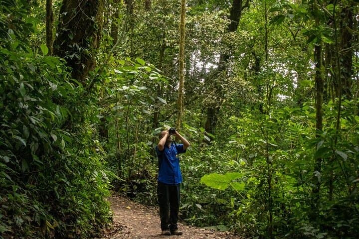 Santa Elena Cloud Forest Guided Walk | Monteverde Cloud Forest Tour