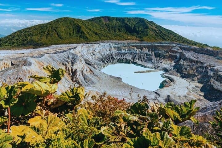 Coffee, Craters & Waterfalls: Poás Volcano, Doka Coffee & La Paz Day Tour photo 4