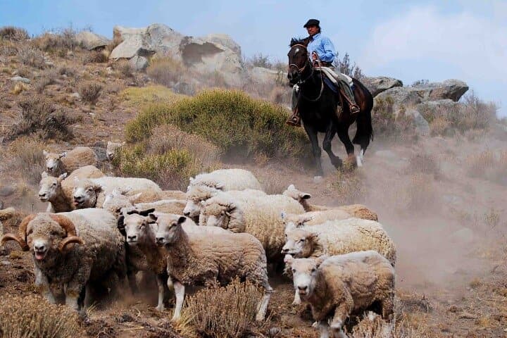 Estancia 25 de Mayo: Patagonian Ranch Afternoon with Dinner, Show & Riding photo 3