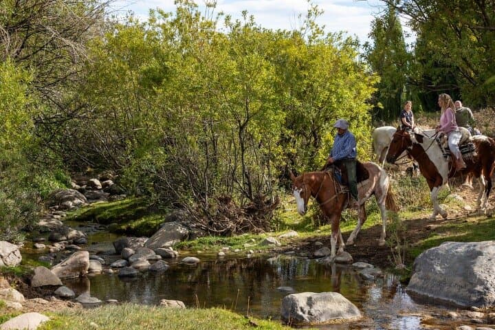 Estancia 25 de Mayo: Patagonian Ranch Afternoon with Dinner, Show & Riding photo 4