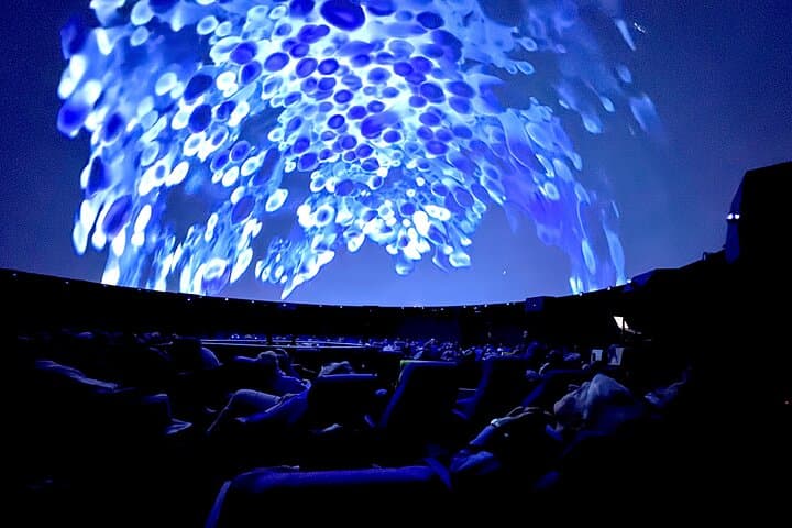 Sounds of the Ocean: Immersive Ocean Experience at MOSI Tampa photo 5