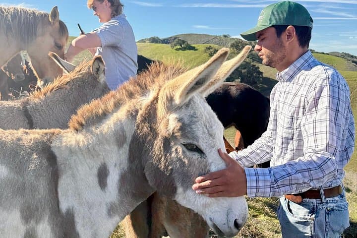 Savor the Valley: Santa Ynez Cattle Ranch to Olive Grove Farm Experience photo 2