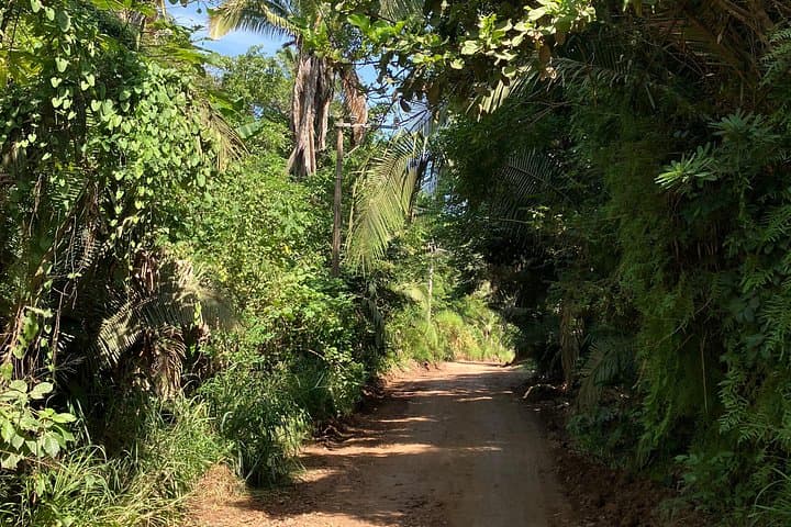 Sayulita to San Pancho Buddha Hike — Beach Stop, Lunch & Easy Trails photo 2