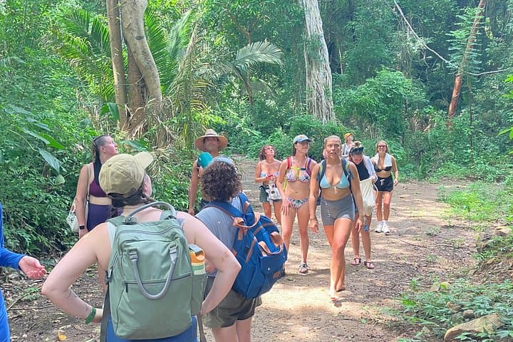 Sayulita to San Pancho Buddha Hike — Beach Stop, Lunch & Easy Trails photo 3