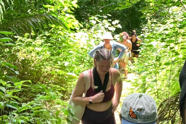 Sayulita to San Pancho Buddha Hike — Beach Stop, Lunch & Easy Trails photo 5