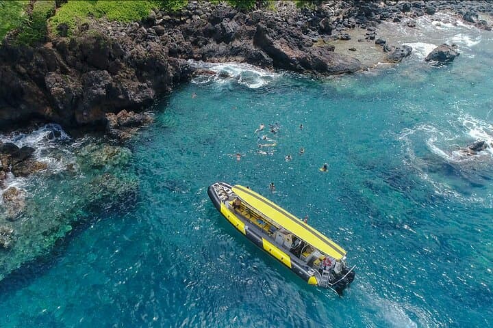 Kihei Turtle Town Snorkel: 3-Hour Turtle & Whale Watch Adventure
