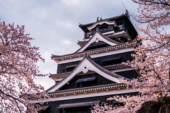 Kumamoto Cherry Blossom Day Tour from Fukuoka — Kikuchi Park, Kumamoto Castle & Suizenji