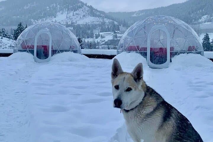 Igloo Winter Wine Experience at Silvara Cellars — Leavenworth WA photo 3