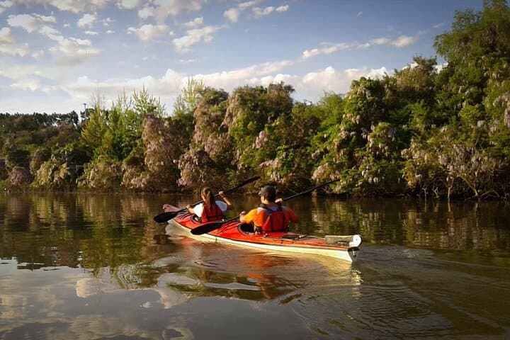 Paraná River Delta Kayak Tour from Tigre — Guided 2-Hour Paddle