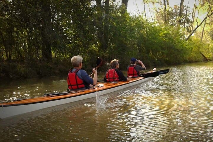Paraná River Delta Kayak Tour from Tigre — Guided 2-Hour Paddle photo 2