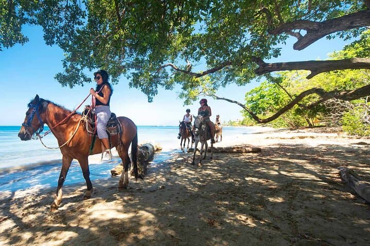 Roatan Beach Horseback Riding and Coxen Hole City Tour