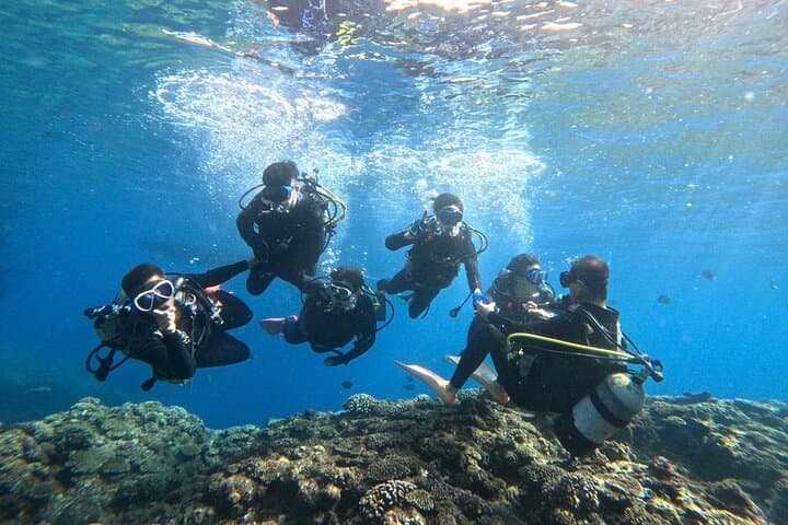 Blue Cave Intro Diving in Onna Village — Okinawa Boat Diving Experience