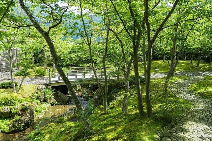 Hakone Day Trip: Lake Ashi, Hakone Shrine & Onsen from Tokyo photo 4