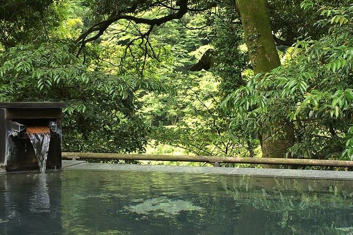 Hakone Day Trip: Lake Ashi, Hakone Shrine & Onsen from Tokyo photo 6
