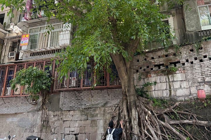 Chongqing City Guided Hiking Day Tour — Hidden Steps, Xiaomian & Skybridges photo 2