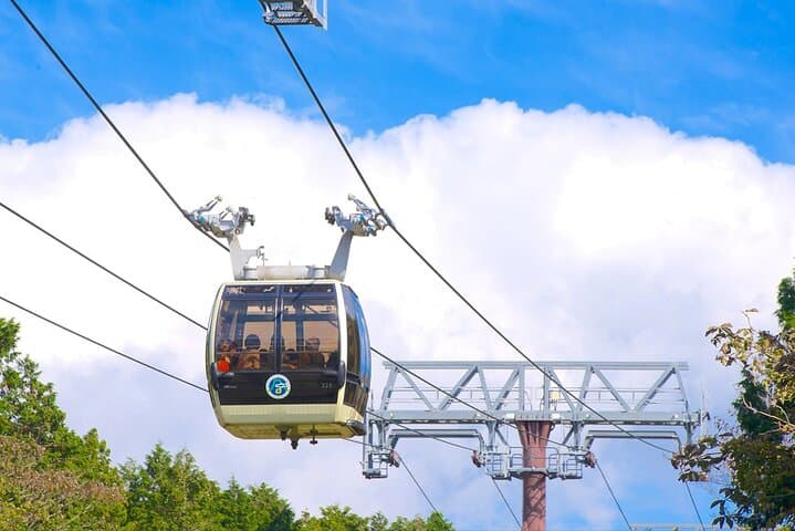 Day Trip to Mt Fuji & Hakone: 5th Station, Owakudani, Ropeway & Lake Ashi Cruise photo 4
