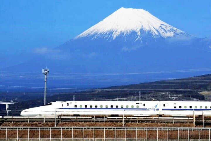 Day Trip to Mt Fuji & Hakone: 5th Station, Owakudani, Ropeway & Lake Ashi Cruise photo 6