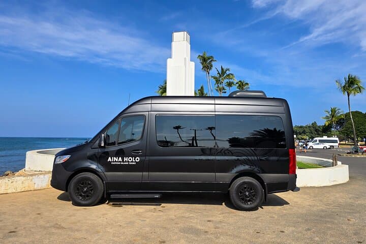 Private North Shore Turtle Bay Airport Transfer — Mercedes Sprinter for Groups photo 2