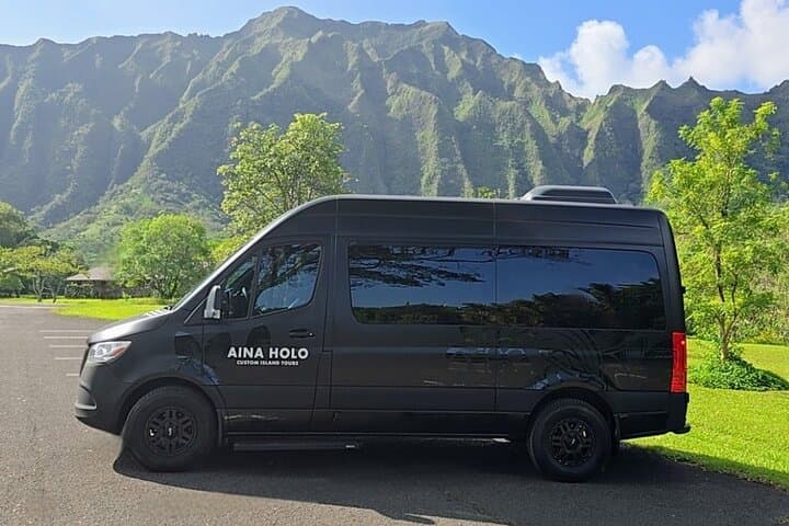 Private Waikiki Airport Transfer — Mercedes Sprinter for Groups up to 10 photo 3