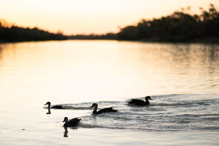 Thomson River Sunset Cruise and Smithy’s Outback Dinner: Longreach Evening Experience photo 4