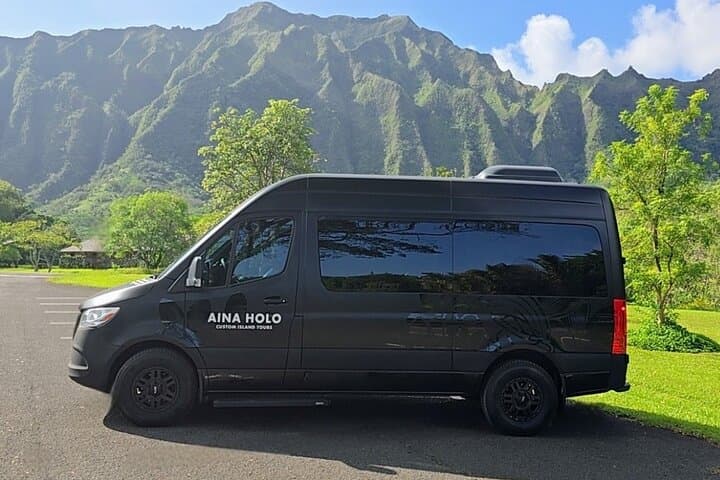 Private North Shore Turtle Bay Airport Transfer — Mercedes Sprinter for Groups photo 3