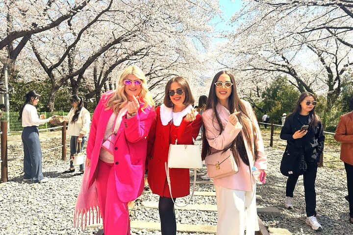 Jinhae Cherry Blossom Day Trip from Busan: Full-Day Spring Sakura Experience photo 2