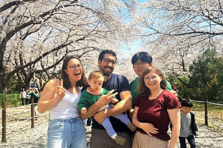 Jinhae Cherry Blossom Day Trip from Busan: Full-Day Spring Sakura Experience photo 4