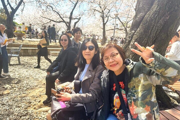 Jinhae Cherry Blossom Day Trip from Busan: Full-Day Spring Sakura Experience photo 5