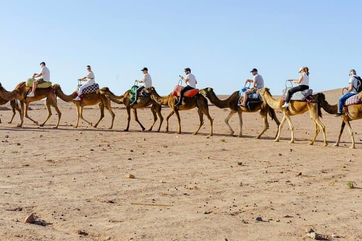Half-Day Agafay Desert Quad Biking, Camel Ride & Tea from Marrakech photo 6
