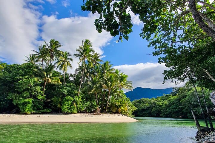 Private Luxury Daintree Dream Tour: Mossman Gorge & Daintree River Wildlife Cruise