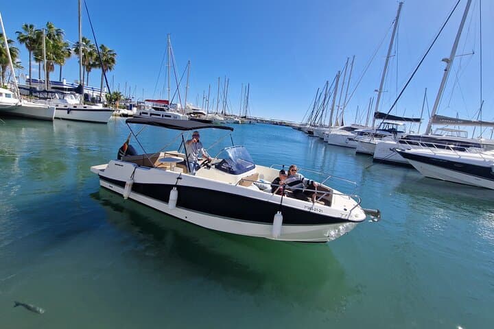 Speedboat Dolphin Watching from Estepona — 2‑Hour Mediterranean Wildlife Cruise photo 2