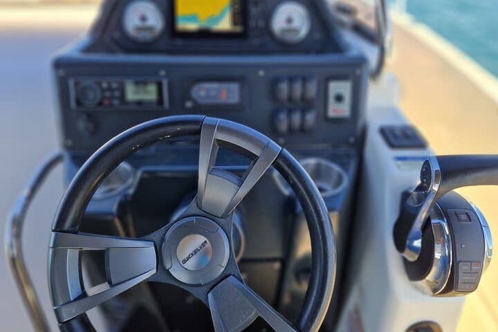 Speedboat Dolphin Watching from Estepona — 2‑Hour Mediterranean Wildlife Cruise photo 3