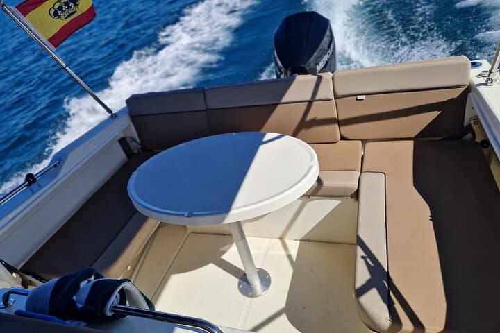 Speedboat Dolphin Watching from Estepona — 2‑Hour Mediterranean Wildlife Cruise photo 5