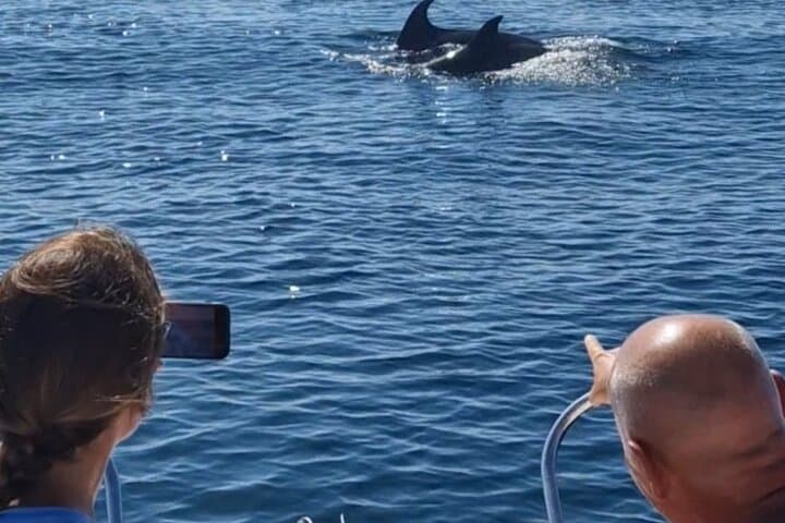 Speedboat Dolphin Watching from Estepona — 2‑Hour Mediterranean Wildlife Cruise photo 6