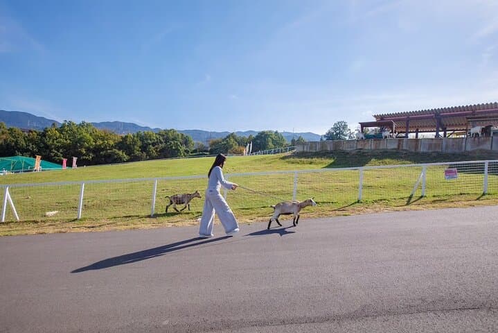 Goat Walk & Animal Encounters at World Ranch — Osaka Mountain Farm Experience photo 4