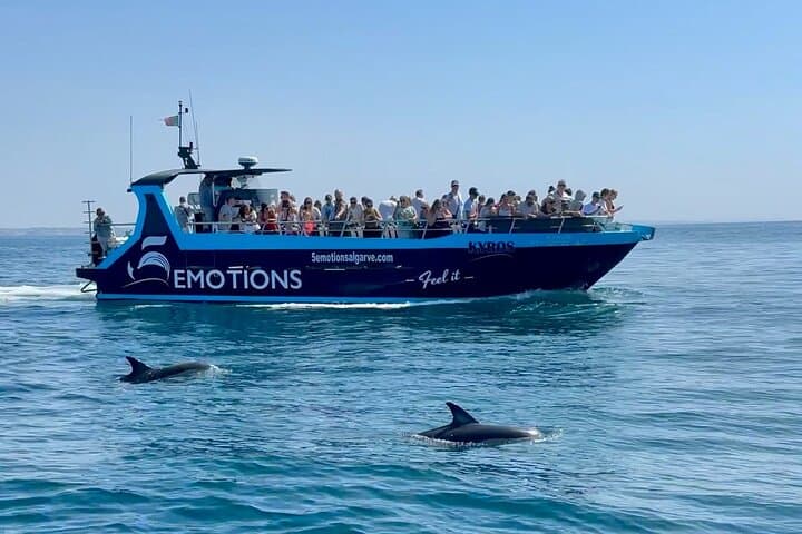 Portimão Dolphin Watching with Marine Biologist — 2.5-Hour Conservation Boat Tour