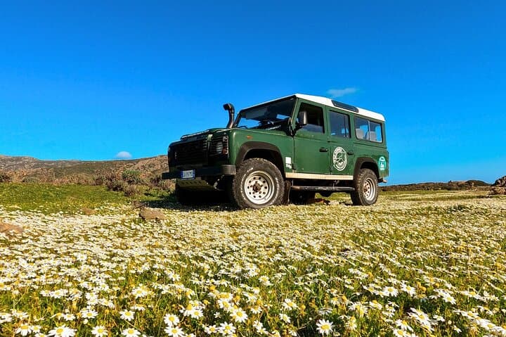 Off‑Road to Porto Ferro & Argentiera: Alghero 4x4 Coastal Tour