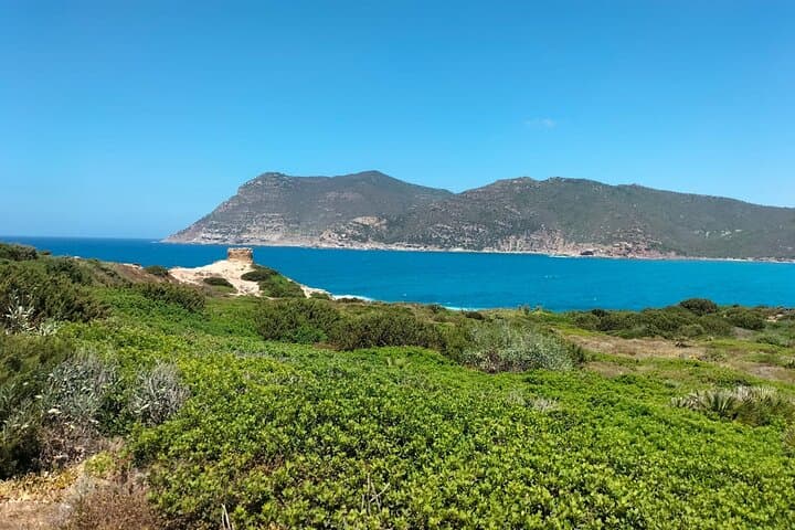 Off‑Road to Porto Ferro & Argentiera: Alghero 4x4 Coastal Tour photo 4